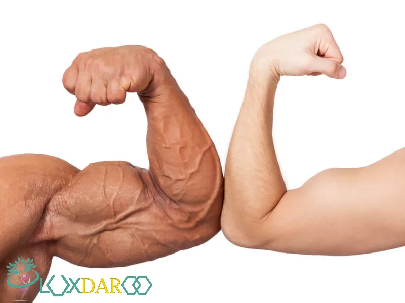 چطور حجم بازو را افزایش دهیم